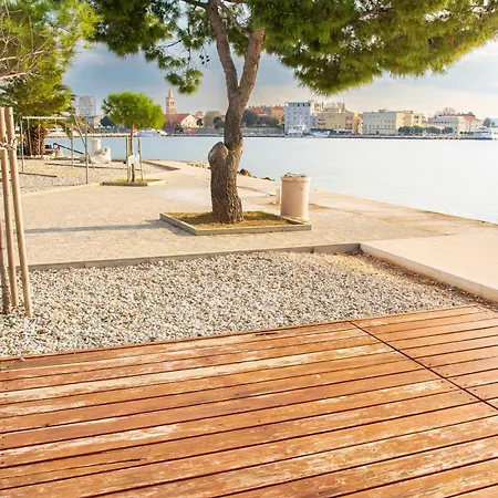 Franceska Daire Zadar