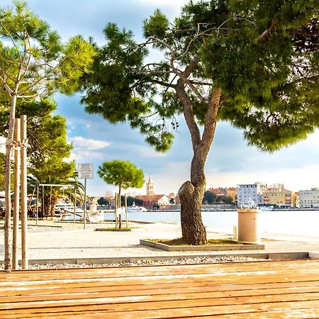 Apartment Franceska Zadar